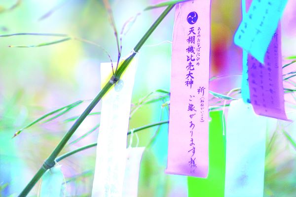 七夕まつり笹飾り立て