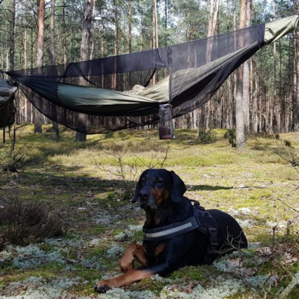 JUNGLE Hammock set