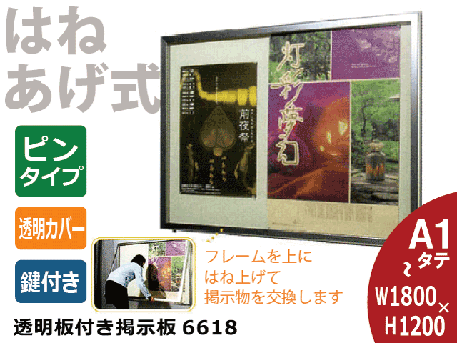 ƩĤĤǼ() Ϥͤ6618۲͡ԥ󥿥 ̵(졦Υ票ꥢ)