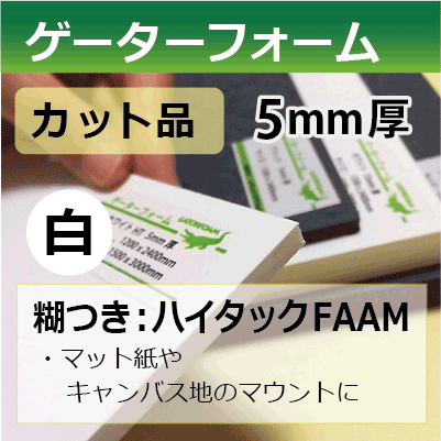 ե5mmԥåʡաڥۥ磻ȡ(̸/ϥåFAAM)ޥåȻ䥭ХϤΥޥȤˡڸĿԲġɬܡۡ졦Υӡ