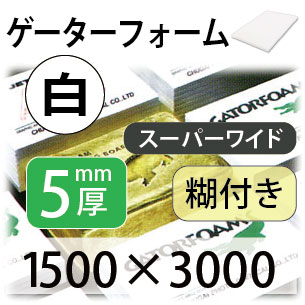 ���������ե�����/�ۥ磻��5mm�������̸��աۡԥ����ѡ��磻�ɡ�1500��3000�ڸĿ��������Բġ�����ɬ�ܡۡ������������졦Υ������ӡ�