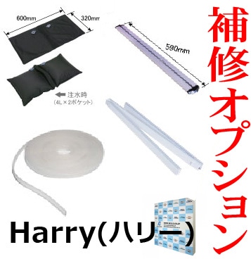 ڥץ佤ξɽ緿Хåѥͥ Harry(ϥ꡼) ץ/佤ѡġڥ᡼ľ1ۡ2019ǯ2ʹߤλͤŬ(2024.5)