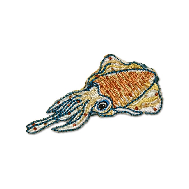 アイロンアップリケ アオリイカ