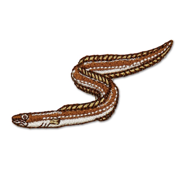 アイロンアップリケ アナゴ