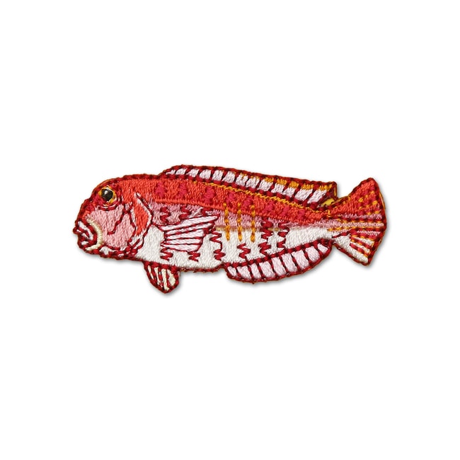 アイロンアップリケ アマダイ