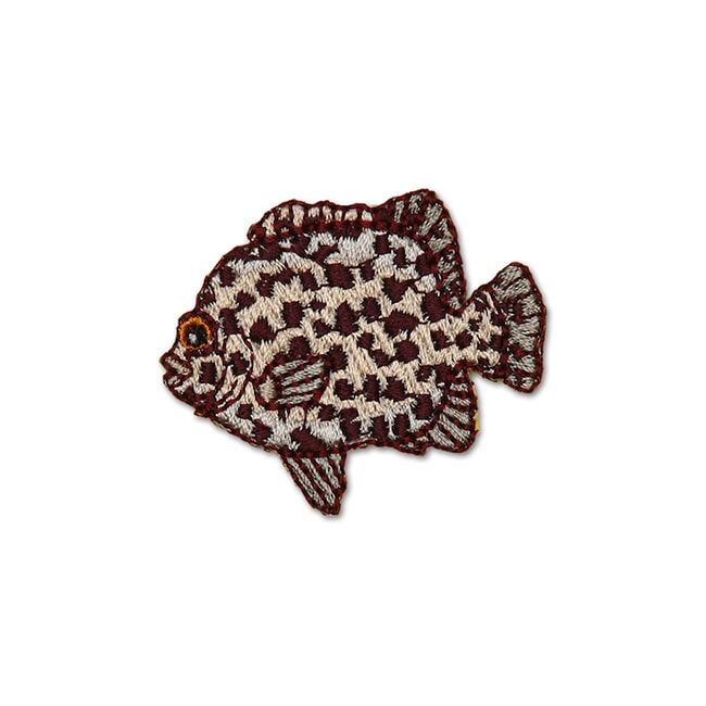 アイロンアップリケ イシガキダイ