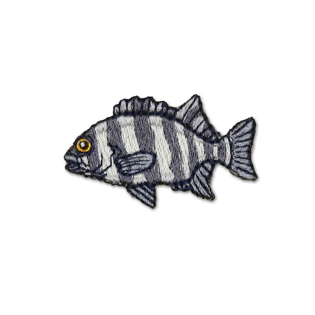 アイロンアップリケ イシダイ