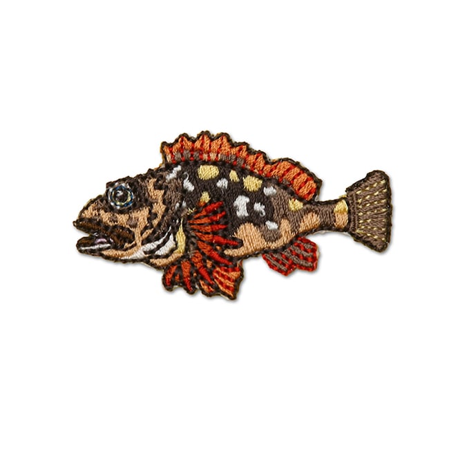 アイロンアップリケ カサゴ