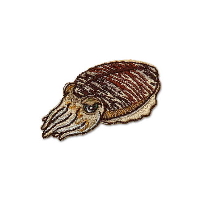 アイロンアップリケ スミイカ