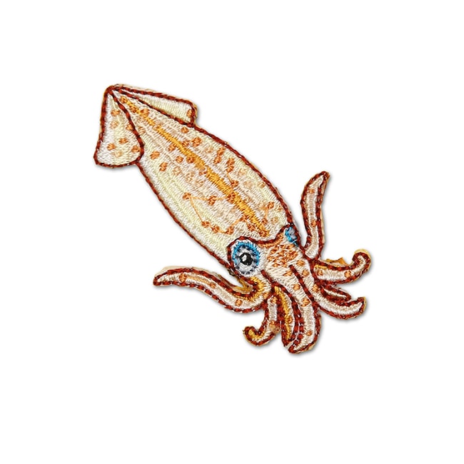 アイロンアップリケ スルメイカ