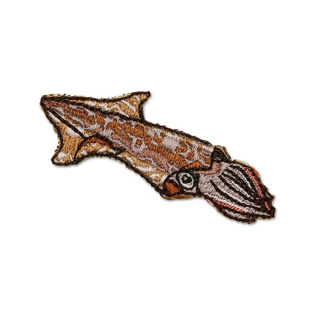 アイロンアップリケ ヤリイカ