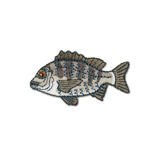 アイロンアップリケ クロダイ