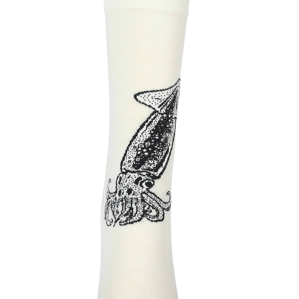 UO-SOCKS 【スルメイカ】