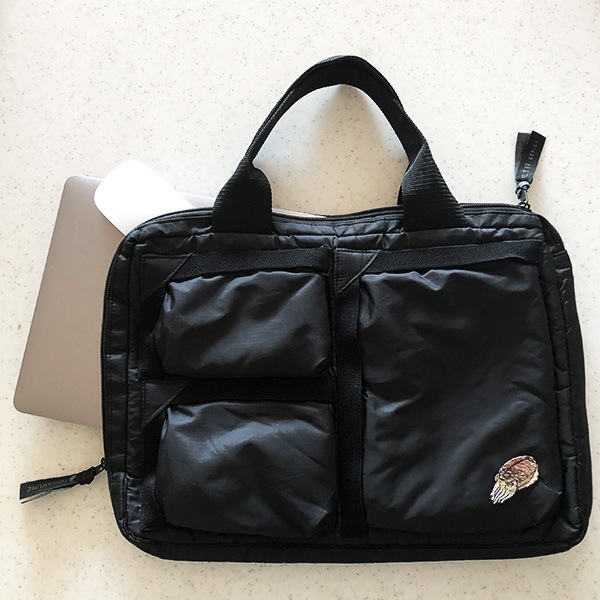 アイロンアップリケ ハゼ