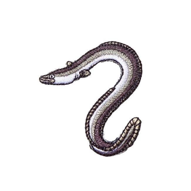 アイロンアップリケ ウナギ