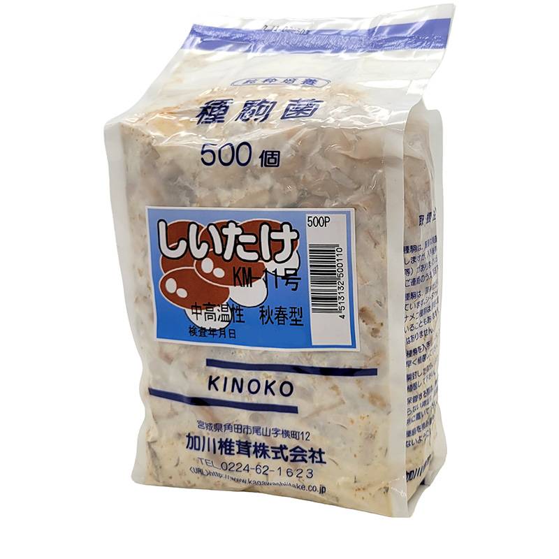 プラスワイズ本店｜500個入 種駒 しいたけ KM-11号 丸棒型 食用きのこ