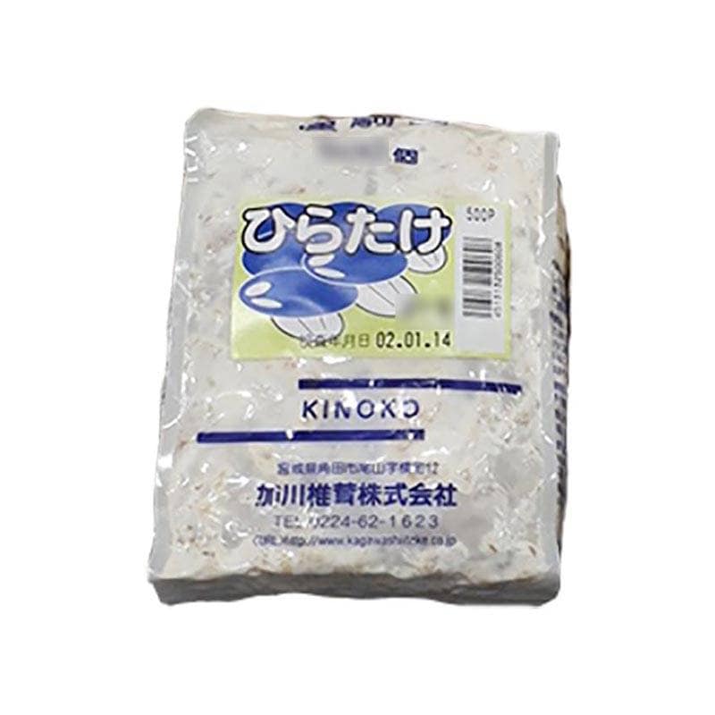 500個入 種駒 ひらたけ KM中生 丸棒型 人工しめじ 食用きのこ菌 キノコ ひらたけ菌 ヒラタケ 加川椎茸 福S 代引不可 返品不可