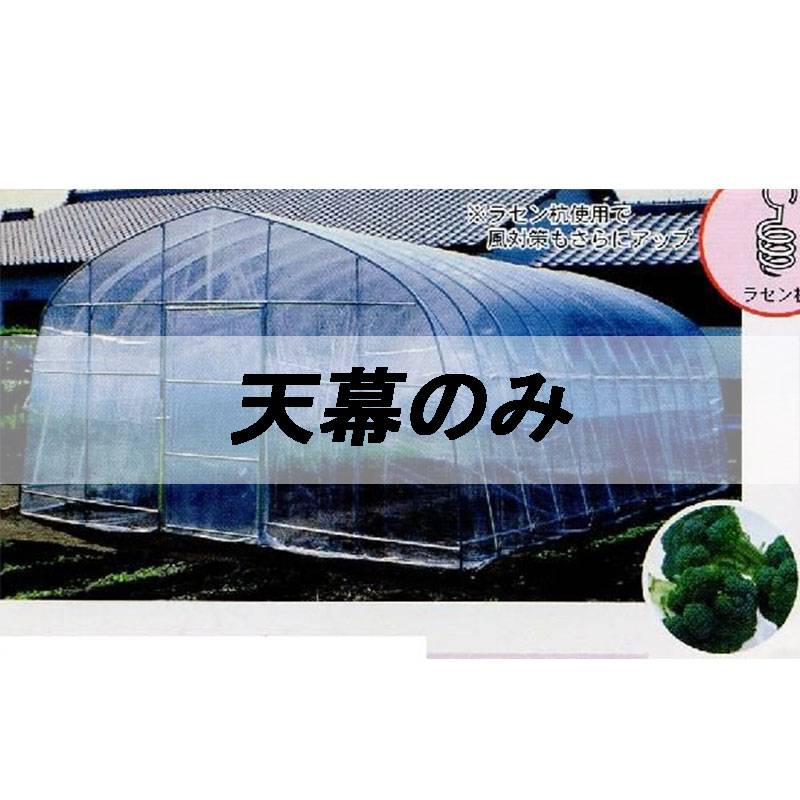 個人宅配送不可 天幕のみ 9.5坪 用 ビニールハウス 菜園ハウス H-4572 9.5坪用 南栄工業 代引不可