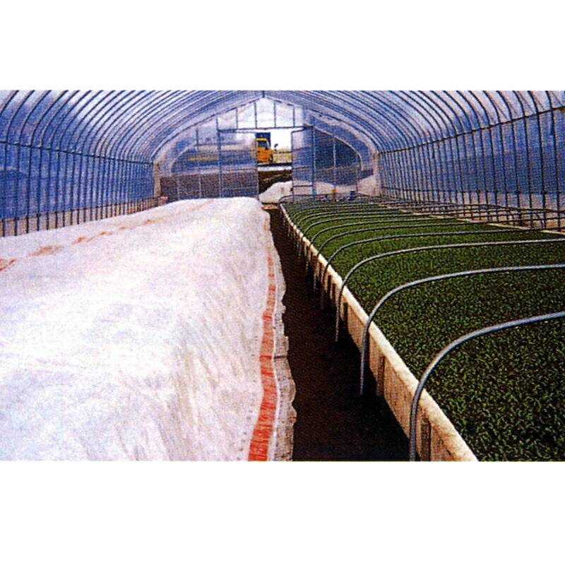 2本 ホカホカサンシート 300cm×50m 保温 生育増進 トンネル 暖かい 3層構造 フィルム テトロン綿 前田工繊 カ施 代引不可