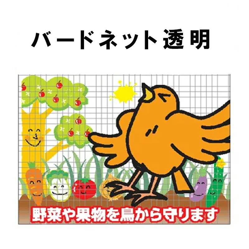 2個 バードネット 透明 17mm目合 2m×50m 防鳥ネット シンセイ 個人宅配送不可 代引不可
