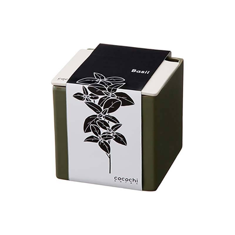 6個 水耕栽培キット cocochi 心知菜園 オリーブグリーン 卓上菜園 野菜 ハーブ ホームハイポニカ ココチサイエン カ園 北海道不可 個人宅配送不可 代引不可