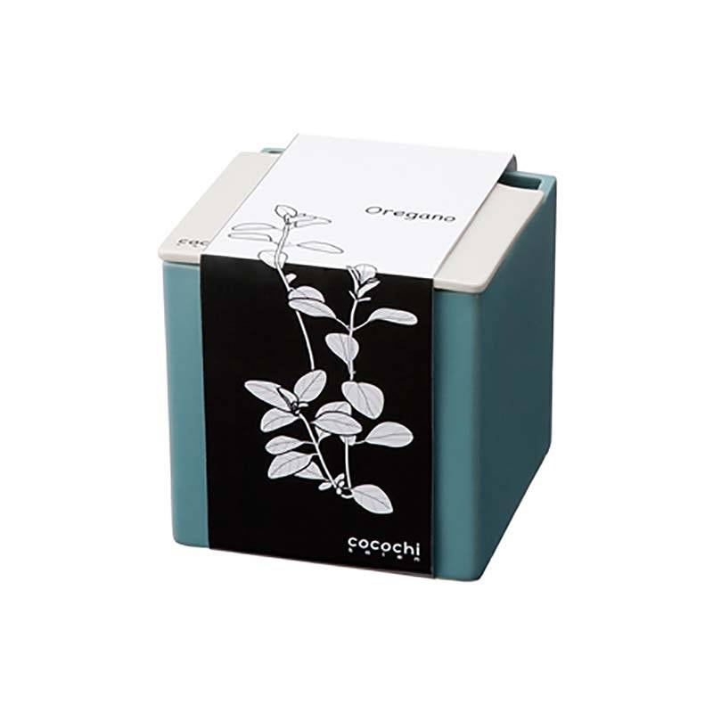 6個 水耕栽培キット cocochi 心知菜園 ティールブルー 卓上菜園 野菜 ハーブ ホームハイポニカ ココチサイエン カ園 北海道不可 個人宅配送不可 代引不可