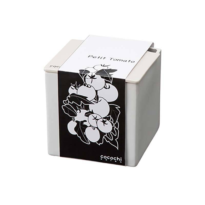 6個 水耕栽培キット cocochi 心知菜園 スノーホワイト 卓上菜園 野菜 ハーブ ホームハイポニカ ココチサイエン カ園 北海道不可 個人宅配送不可 代引不可