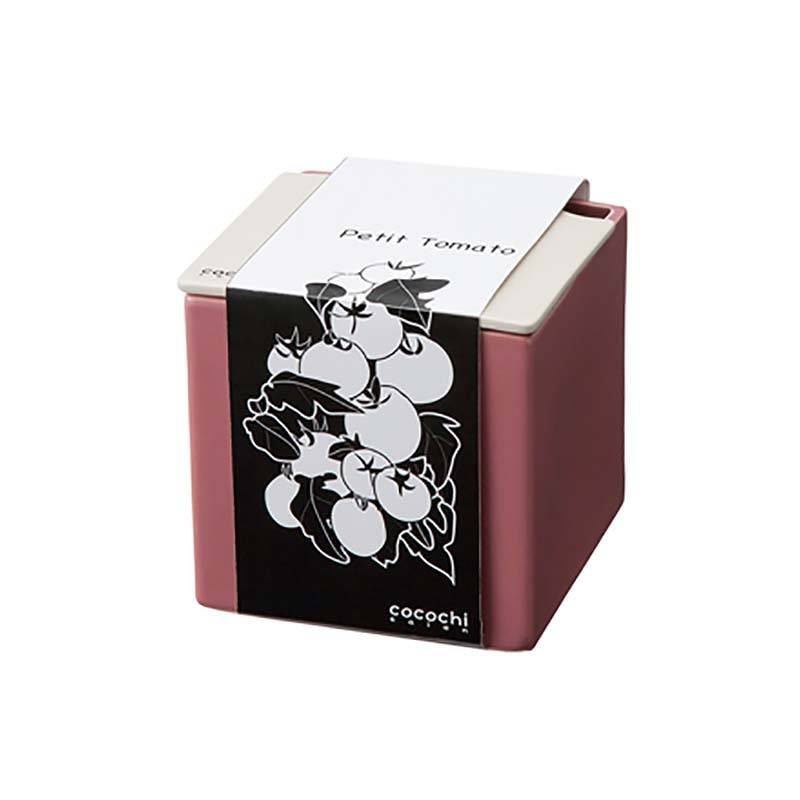 6個 水耕栽培キット cocochi 心知菜園 ピンクローズ 卓上菜園 野菜 ハーブ ホームハイポニカ ココチサイエン カ園 北海道不可 個人宅配送不可 代引不可