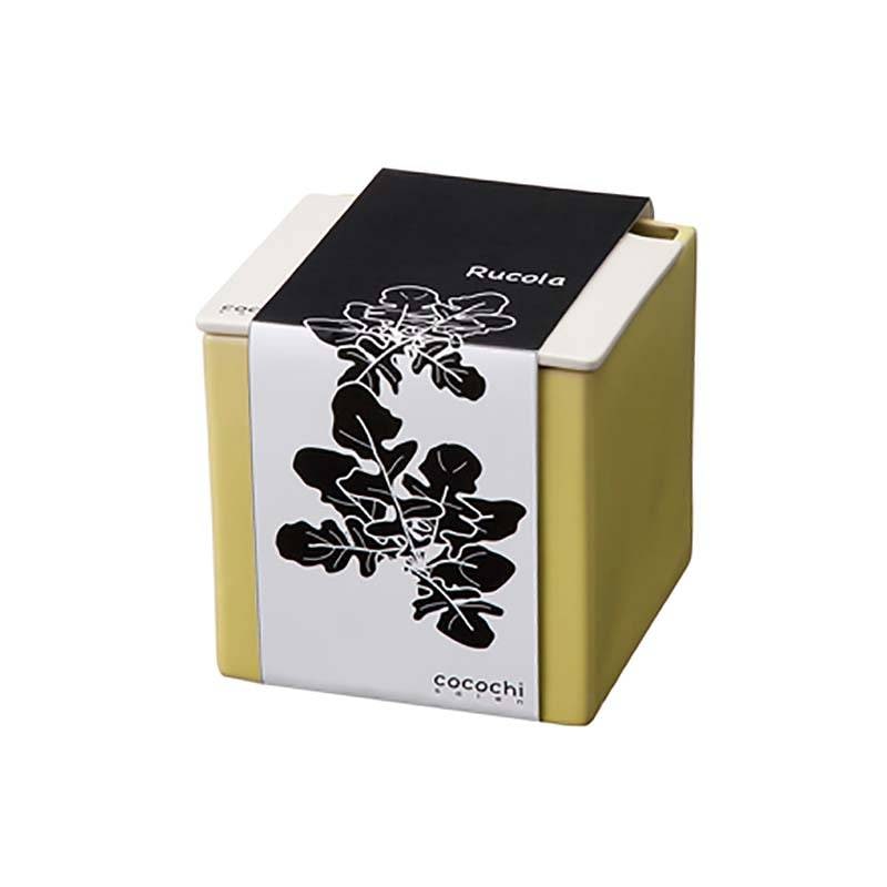 6個 水耕栽培キット cocochi 心知菜園 レモンイエロー 卓上菜園 野菜 ハーブ ホームハイポニカ ココチサイエン カ園 北海道不可 個人宅配送不可 代引不可