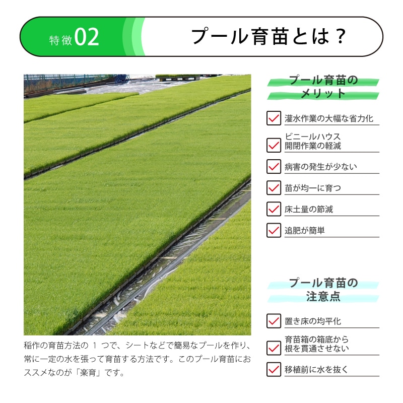 プール育苗用枠板楽育ライク長1000mm×高90×幅16ｍｍサンポリ【代引不可】