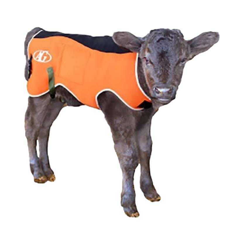 AGジャケット ネオプレーン オレンジ Mサイズ 適合体重 30kg～70kg 3層構造 保温 防水 子牛用 防寒着 防寒具 子牛 仔牛 カーフジャケット AGトレーディング DZ