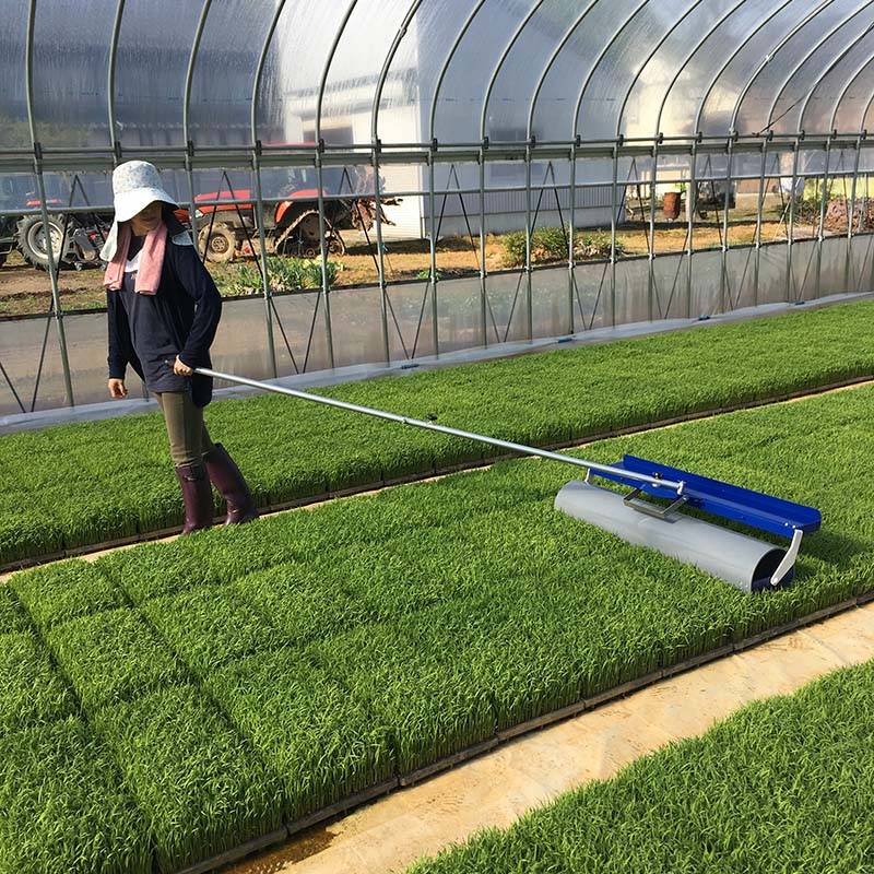 育苗転圧ローラー TR-1000 健苗 苗踏みローラー 水稲 の 密播 密苗 疎植 の 育苗 に ケーエス製販 代引不可