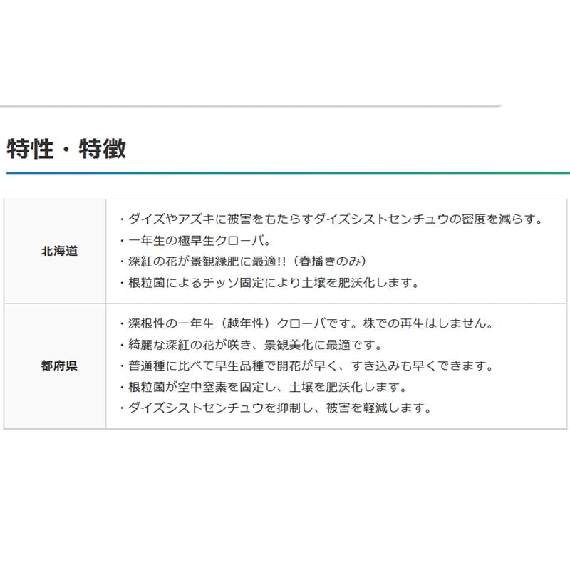 【10kg】クリムソンクローバくれない種緑肥景観作物遊休農地の有効活用に植物赤クローバー雪印種苗米3【代引不可】