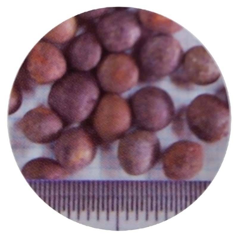 種 10kg まめ助 ナモイ ヘアリーベッチ 晩生 緑肥 ミツバチの蜜源に 雪印種苗 植物 米S 代引不可 (登録品種名:ナモイ)