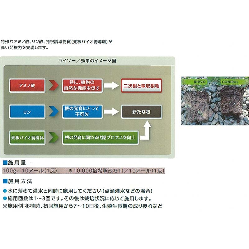 ライゾー1kgRHYZO発根促進剤肥料ハイポネックスタ種【代引不可】