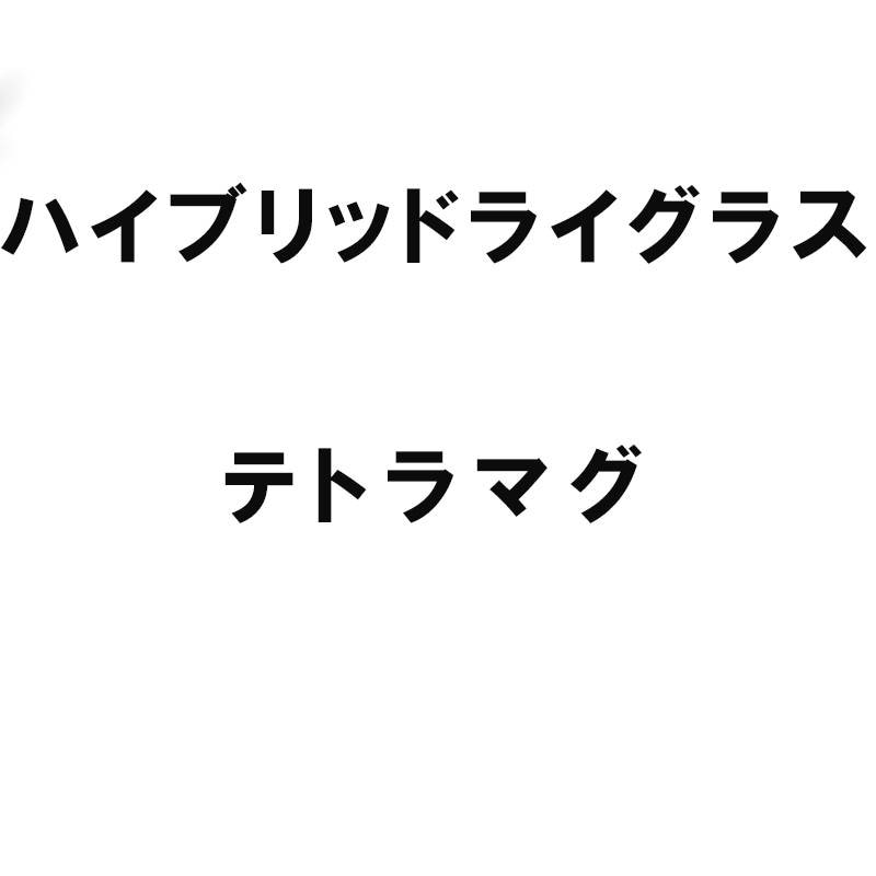 種 2kg ハイブリッドライグラス テトラマグ 雪印種苗 米S 代引不可 (登録品種名:テトラマグ)