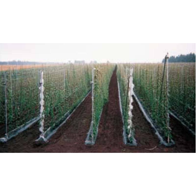 25個 MARSOL ナガイモネット 菱目 HC09209 目合い24cm 巾1.8m×長さ200m 長芋 日本マタイ 代引不可