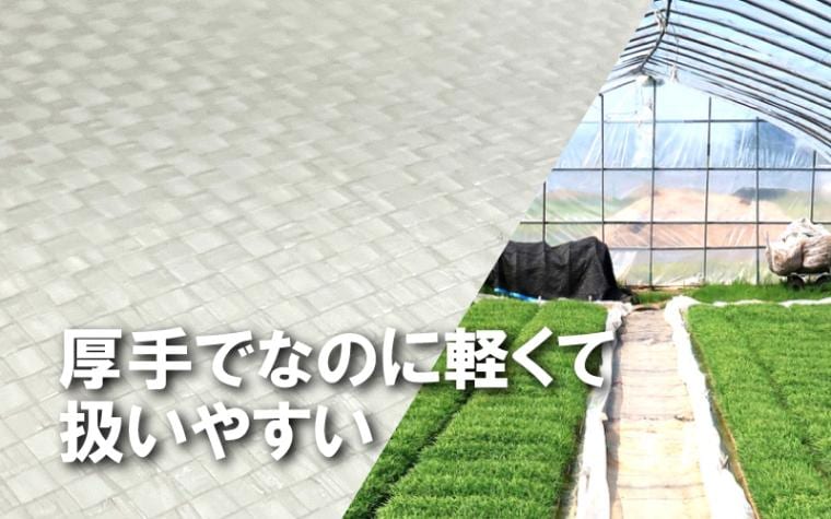 【カット品】プール育苗用シート厚さ0.26mm×幅540cm1m単位カット品