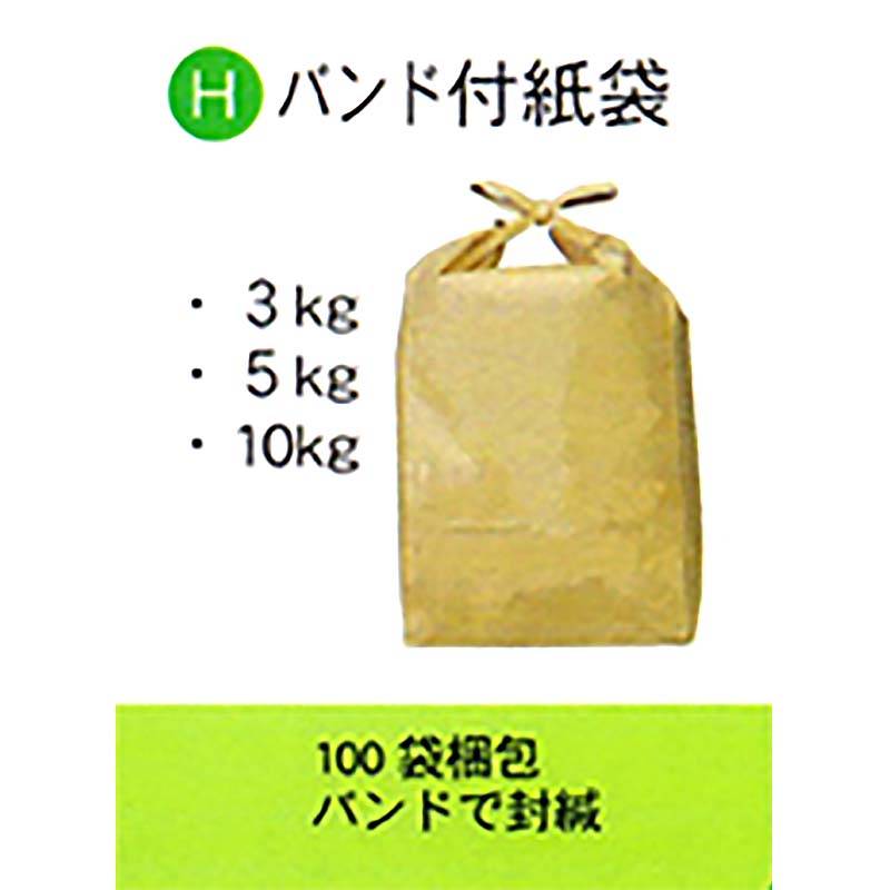 100枚 米袋 3kg 用 無地 バンド スタンディングタイプの 角底袋 0113941059 昭和パックス 代引不可