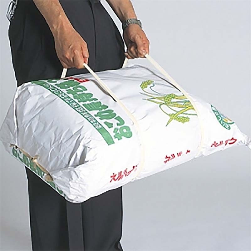 【25セット】ネルパックおこめ長持ち袋30kg一色本店ハオ【代引不可】