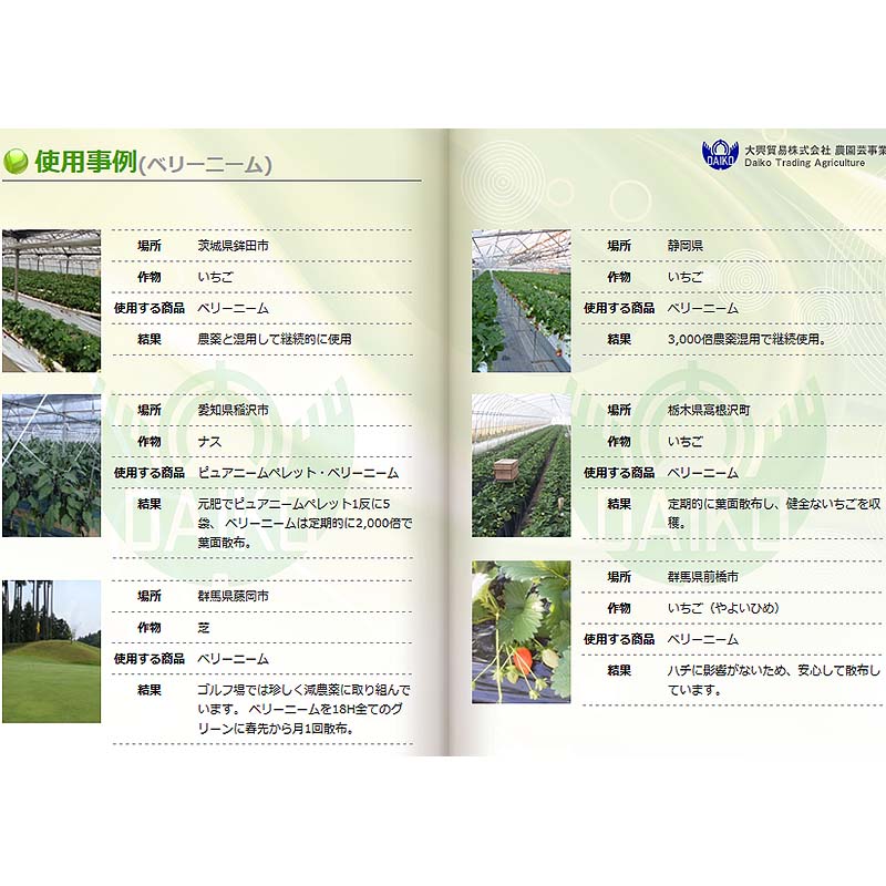 ダイコーベリーニームV2L高濃度ニームオイル葉面散布大興貿易【代引不可】