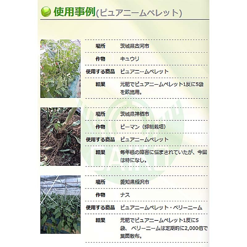 ダイコーピュアニームペレット15kg有機肥料特殊肥料土壌環境の健全化大興貿易【代引不可】