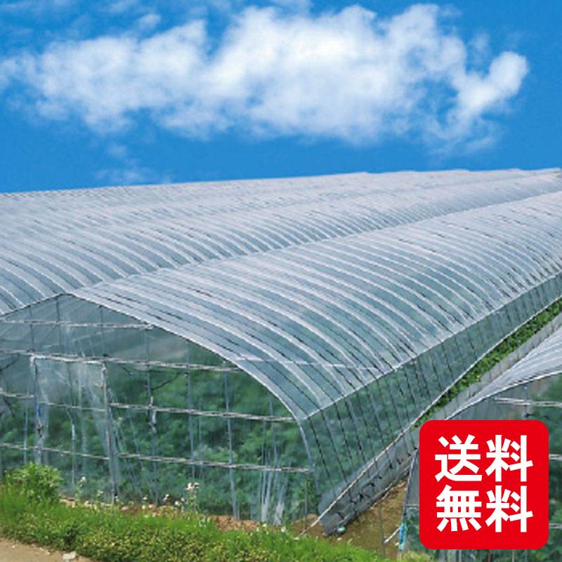 晴天 農ビ 厚さ 0.1mm×幅 200cm×長さ 100m ビニールハウス アキレス カ施 個人宅配送不可 代引不可