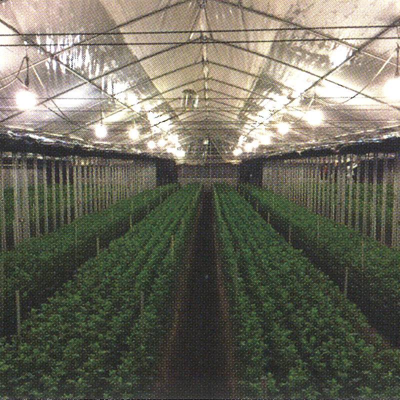 1平米（m2）単価 エナジーキーパー EK-B 遮光約100％ 表：銀 裏：黒 東京インキ タS 個人宅配送不可 代引不可