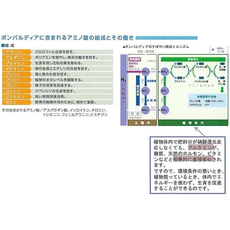 ボンバルディア1LBOMBARDIER有機活力液肥ハイポネックスタ種【代引不可】