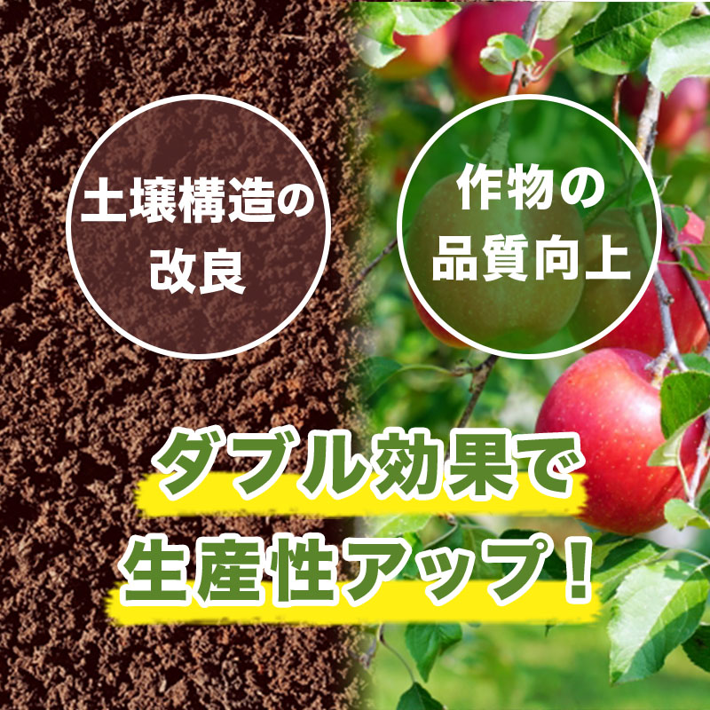 ボンバルディア1LBOMBARDIER有機活力液肥ハイポネックスタ種【代引不可】