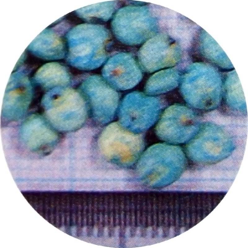 種 2kg ソルガム 堆肥ソルゴー FS1605 雪印種苗 米S 代引不可 (登録品種名:FS1605)