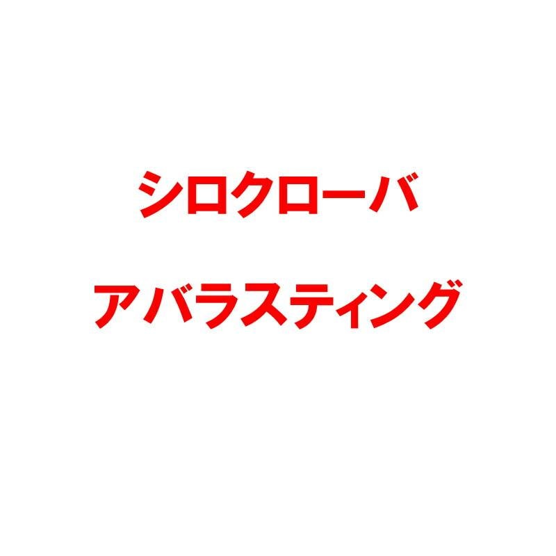 種 1kg シロクローバー アバラスティング コート種子 緑肥 酪農畜産 雪印種苗 米S 代引不可 (登録品種名:アバラスティング)