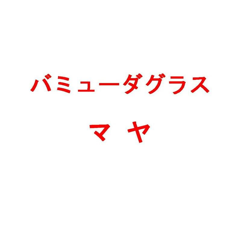 種 1kg バミューダグラス マヤ 雪印種苗 米S 代引不可 (登録品種名:マヤ)