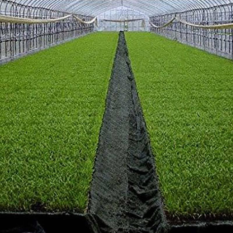 TKプールシート プール育苗 専用 遮水シート 黒 厚み0.15mm×幅270cm×長さ55m 22.3kg プールシート 育苗 水稲 苗 東京インキ タS 代引不可 個人宅配送不可